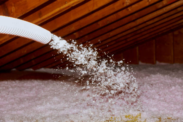 Best Insulation Maintenance and Repair in Murray, UT