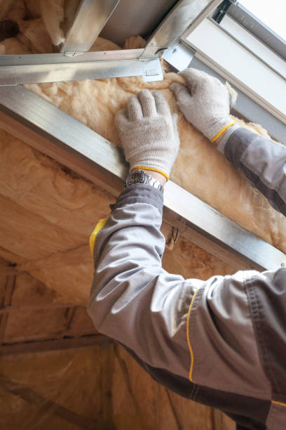 Best Cellulose Insulation in Murray, UT