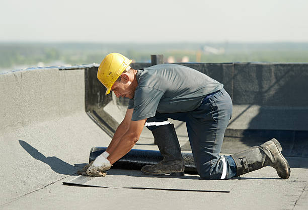 Best Cellulose Insulation in Murray, UT