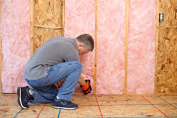 Types of Insulation We Offer in Murray, UT