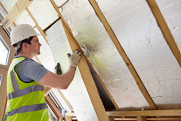 Best Eco-Friendly Insulation in Murray, UT