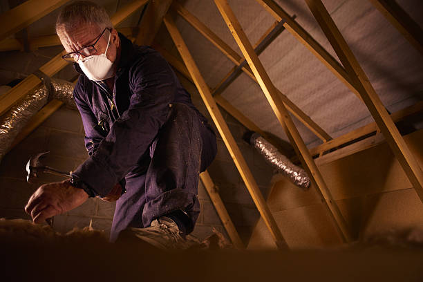 Trusted Murray, UT Insulation Contractor Experts
